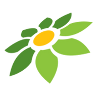 INSTAGRAM VECTOR